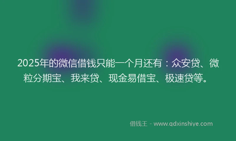 2025年的微信借钱只能一个月还有：众安贷、微粒分期宝、我来贷、现金易借宝、极速贷等。