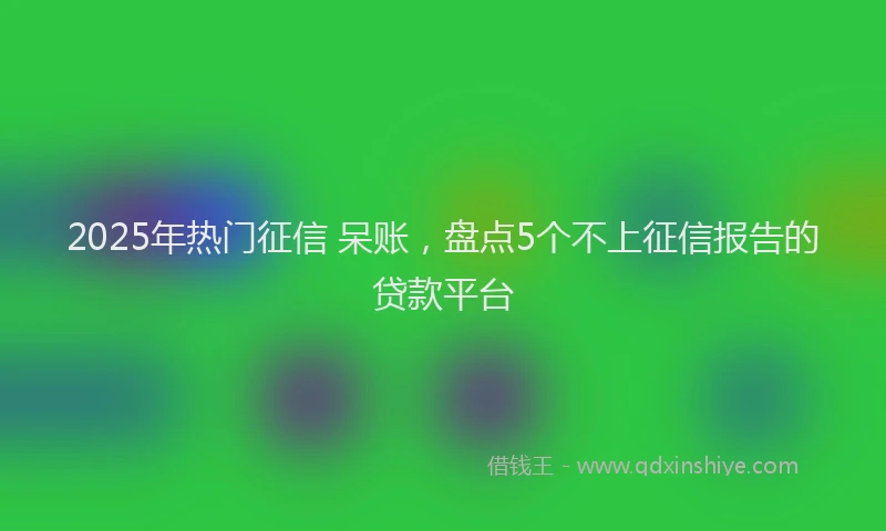 2025年热门征信 呆账，盘点5个不上征信报告的贷款平台