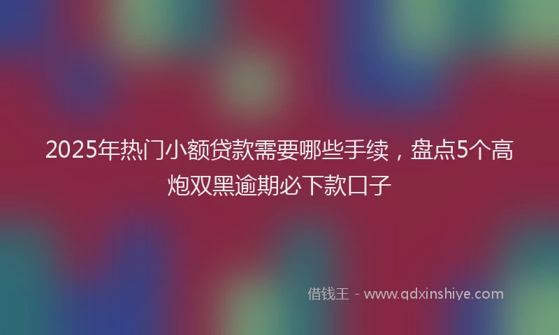 2025年热门小额贷款需要哪些手续,盘点5个高炮双黑逾期必下款口子