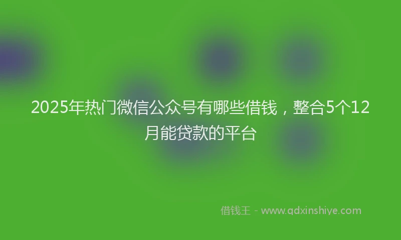 2025年热门微信公众号有哪些借钱，整合5个12月能贷款的平台