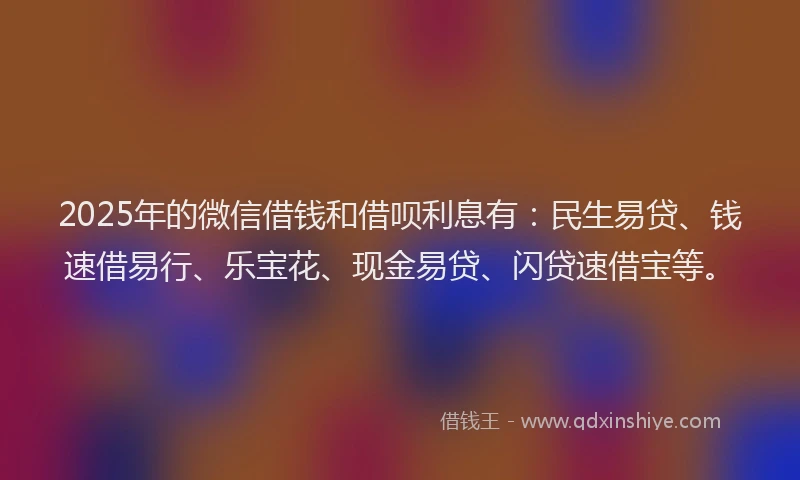 2025年的微信借钱和借呗利息有：民生易贷、钱速借易行、乐宝花、现金易贷、闪贷速借宝等。