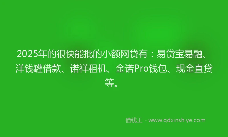 2025年的很快能批的小额网贷有：易贷宝易融、洋钱罐借款、诺祥租机、金诺Pro钱包、现金直贷等。