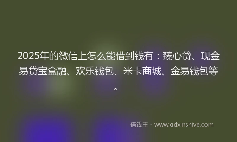 2025年的微信上怎么能借到钱有：臻心贷、现金易贷宝盒融、欢乐钱包、米卡商城、金易钱包等。