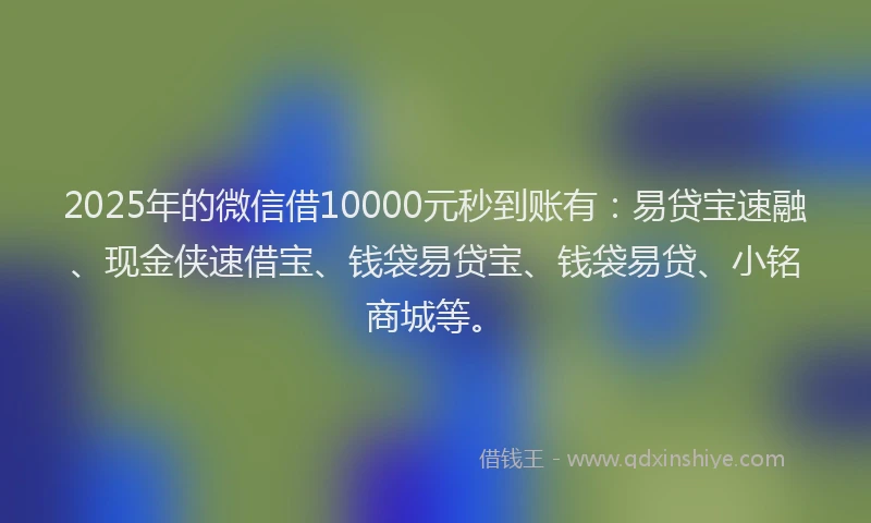 2025年的微信借10000元秒到账有：易贷宝速融、现金侠速借宝、钱袋易贷宝、钱袋易贷、小铭商城等。