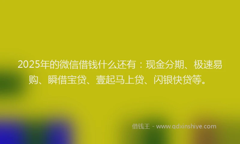 2025年的微信借钱什么还有:现金分期、极速易购、瞬借宝贷、壹起马上贷、闪银快贷等。