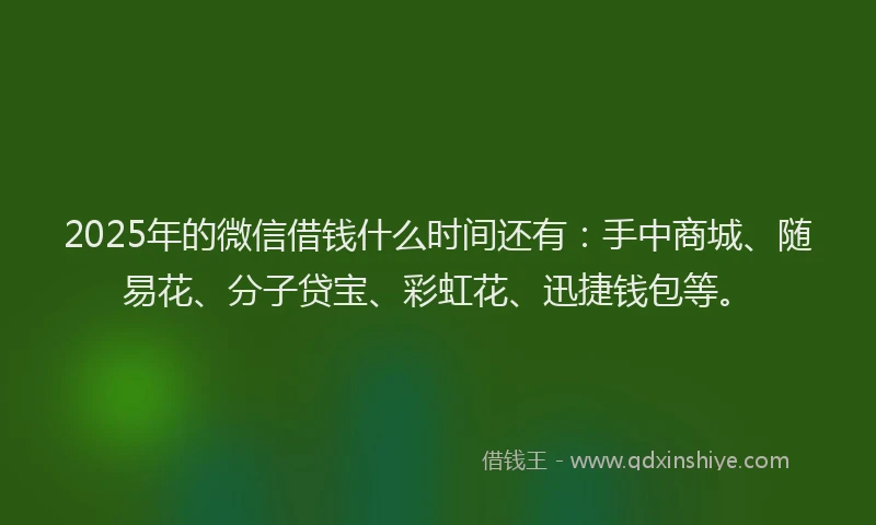 2025年的微信借钱什么时间还有:手中商城、随易花、分子贷宝、彩虹花、迅捷钱包等。