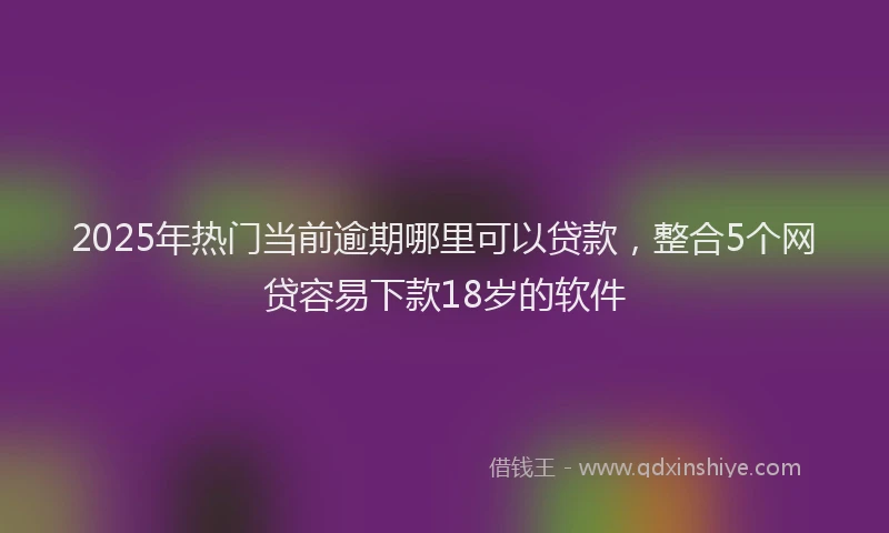 2025年热门当前逾期哪里可以贷款，整合5个网贷容易下款18岁的软件