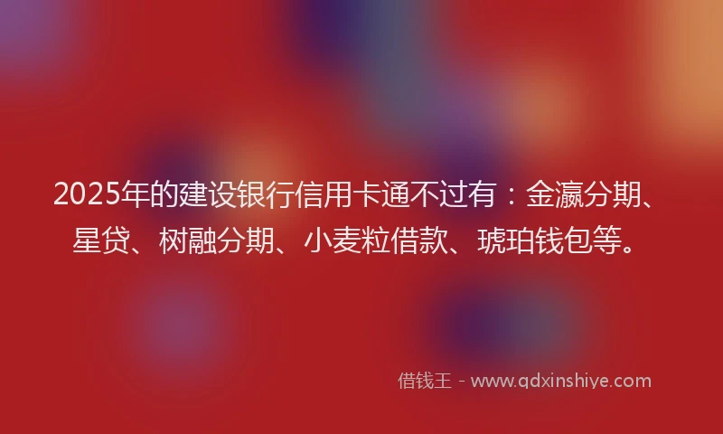 2025年的建设银行信用卡通不过有：金瀛分期、星贷、树融分期、小麦粒借款、琥珀钱包等。
