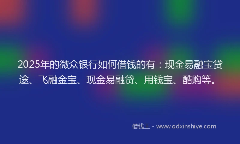 2025年的微众银行如何借钱的有：现金易融宝贷途、飞融金宝、现金易融贷、用钱宝、酷购等。