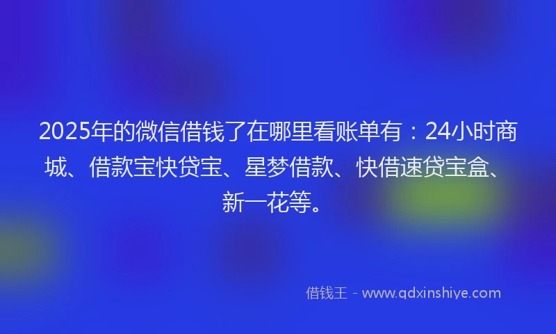 2025年的微信借钱了在哪里看账单有：24小时商城、借款宝快贷宝、星梦借款、快借速贷宝盒、新一花等。