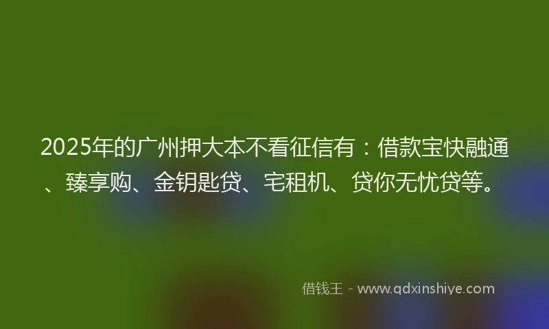 2025年的广州押大本不看征信有：借款宝快融通、臻享购、金钥匙贷、宅租机、贷你无忧贷等。