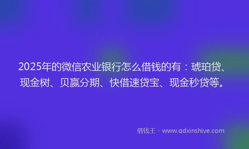 2025年的微信农业银行怎么借钱的有：琥珀贷、现金树、贝赢分期、快借速贷宝、现金秒贷等。
