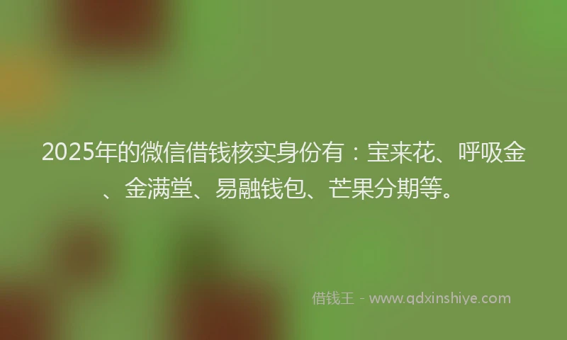 2025年的微信借钱核实身份有：宝来花、呼吸金、金满堂、易融钱包、芒果分期等。