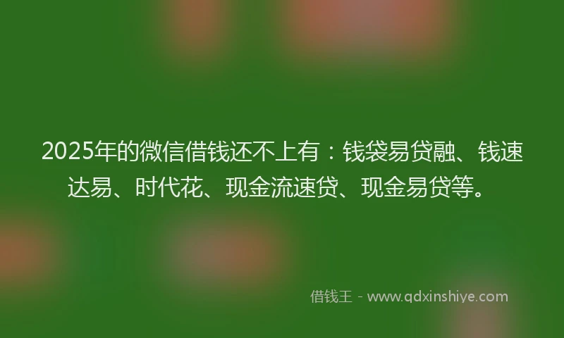 2025年的微信借钱还不上有：钱袋易贷融、钱速达易、时代花、现金流速贷、现金易贷等。