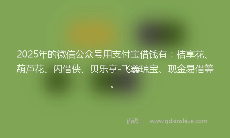 2025年的微信公众号用支付宝借钱有：桔享花、葫芦花、闪借侠、贝乐享-飞鑫琼宝、现金易借等。