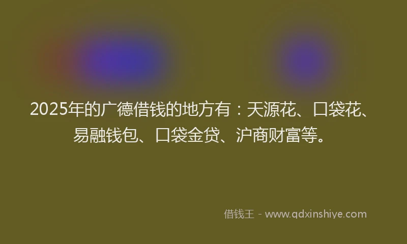 2025年的广德借钱的地方有：天源花、口袋花、易融钱包、口袋金贷、沪商财富等。