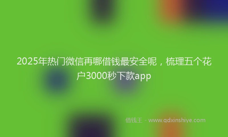 2025年热门微信再哪借钱最安全呢，梳理五个花户3000秒下款app