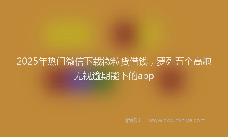 2025年热门微信下载微粒货借钱,罗列五个高炮无视逾期能下的app
