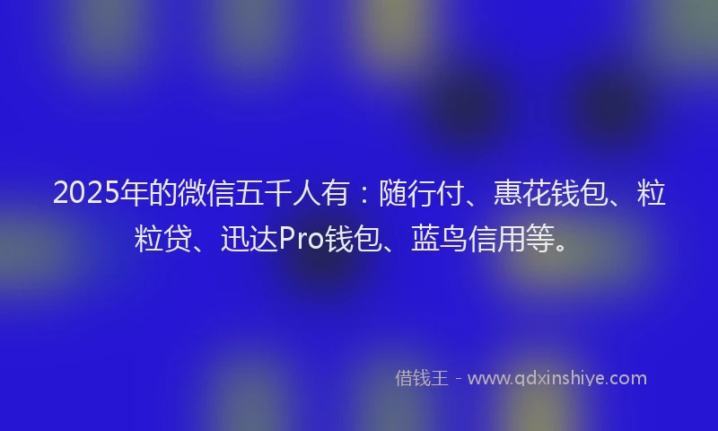 2025年的微信五千人有：随行付、惠花钱包、粒粒贷、迅达Pro钱包、蓝鸟信用等。