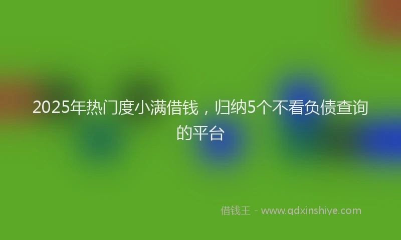 2025年热门度小满借钱，归纳5个不看负债查询的平台
