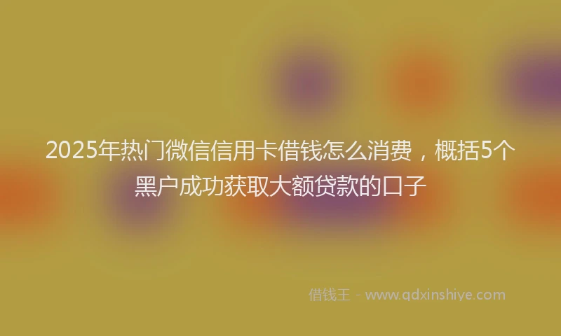 2025年热门微信信用卡借钱怎么消费，概括5个黑户成功获取大额贷款的口子