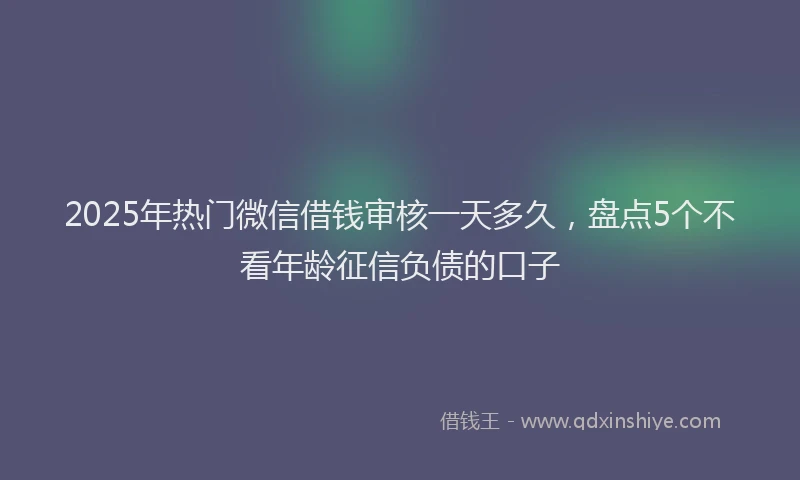 2025年热门微信借钱审核一天多久，盘点5个不看年龄征信负债的口子