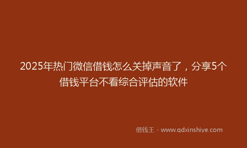 2025年热门微信借钱怎么关掉声音了，分享5个借钱平台不看综合评估的软件