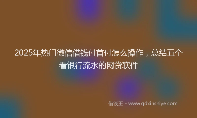 2025年热门微信借钱付首付怎么操作，总结五个看银行流水的网贷软件