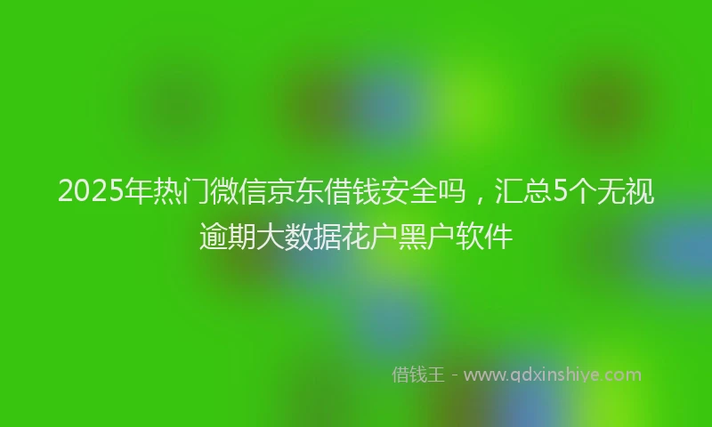 2025年热门微信京东借钱安全吗，汇总5个无视逾期大数据花户黑户软件