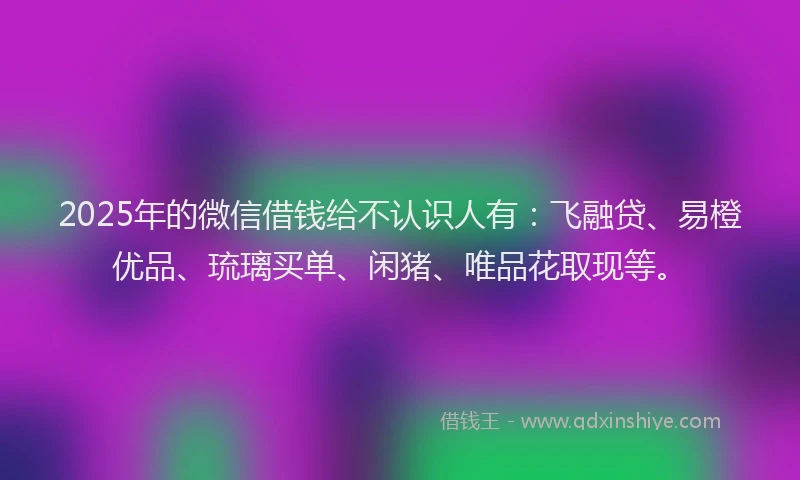 2025年的微信借钱给不认识人有：飞融贷、易橙优品、琉璃买单、闲猪、唯品花取现等。
