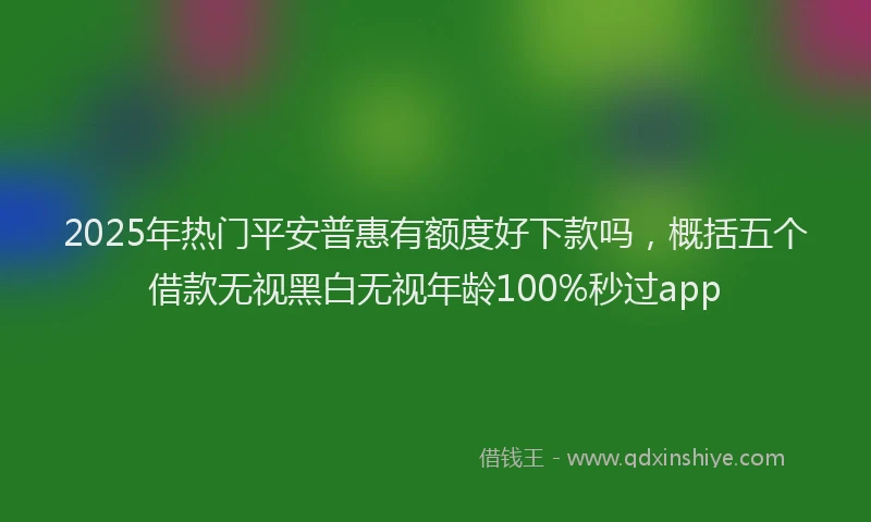 2025年热门平安普惠有额度好下款吗，概括五个借款无视黑白无视年龄100%秒过app