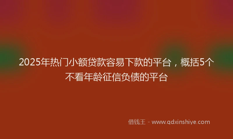 2025年热门小额贷款容易下款的平台，概括5个不看年龄征信负债的平台