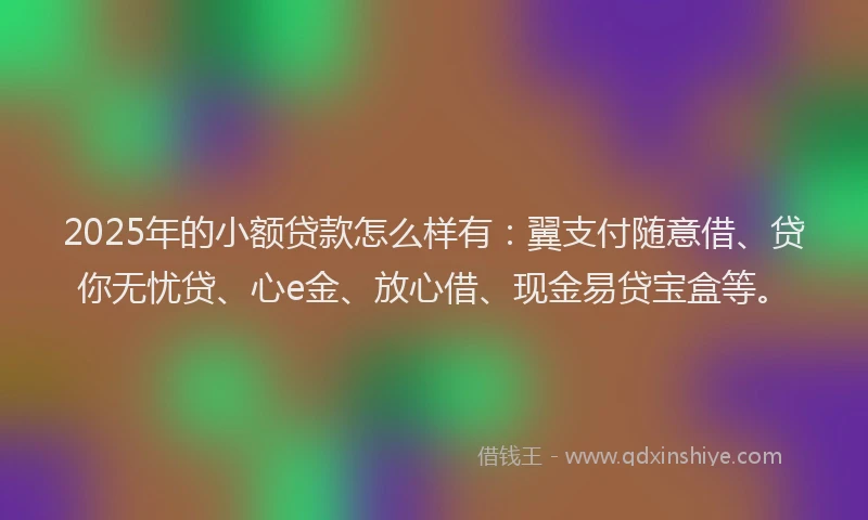 2025年的小额贷款怎么样有:翼支付随意借、贷你无忧贷、心e金、放心借、现金易贷宝盒等。