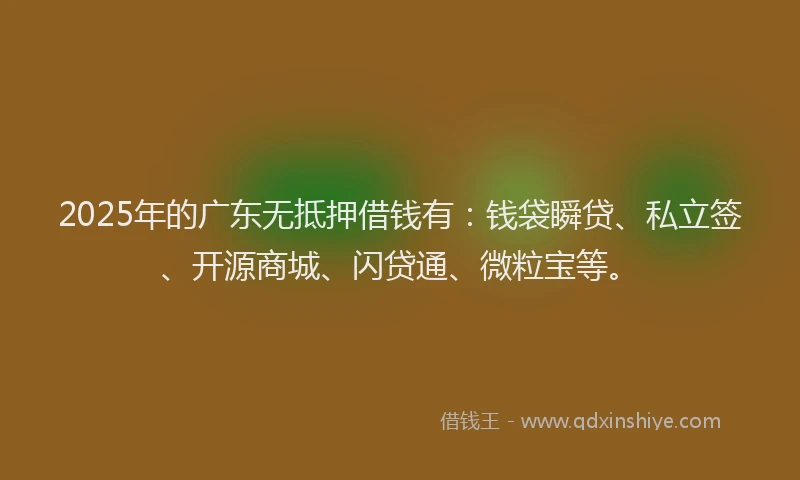 2025年的广东无抵押借钱有：钱袋瞬贷、私立签、开源商城、闪贷通、微粒宝等。