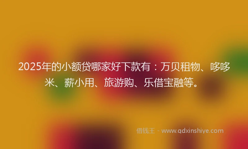 2025年的小额贷哪家好下款有：万贝租物、哆哆米、薪小用、旅游购、乐借宝融等。