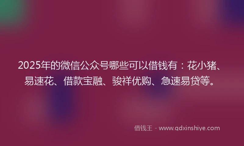 2025年的微信公众号哪些可以借钱有：花小猪、易速花、借款宝融、骏祥优购、急速易贷等。