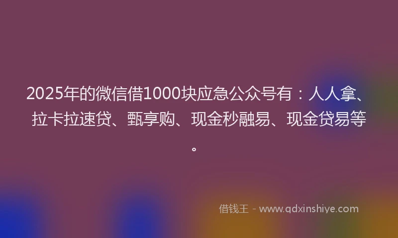 2025年的微信借1000块应急公众号有：人人拿、拉卡拉速贷、甄享购、现金秒融易、现金贷易等。