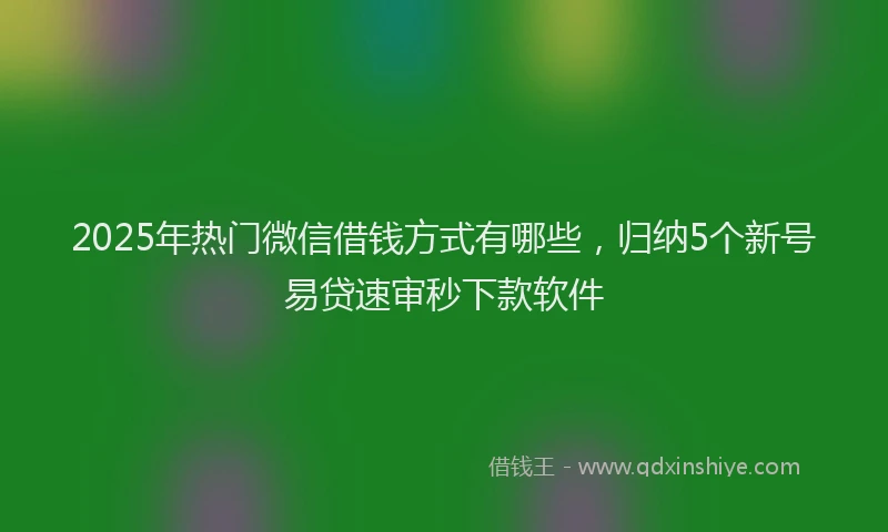 2025年热门微信借钱方式有哪些，归纳5个新号易贷速审秒下款软件