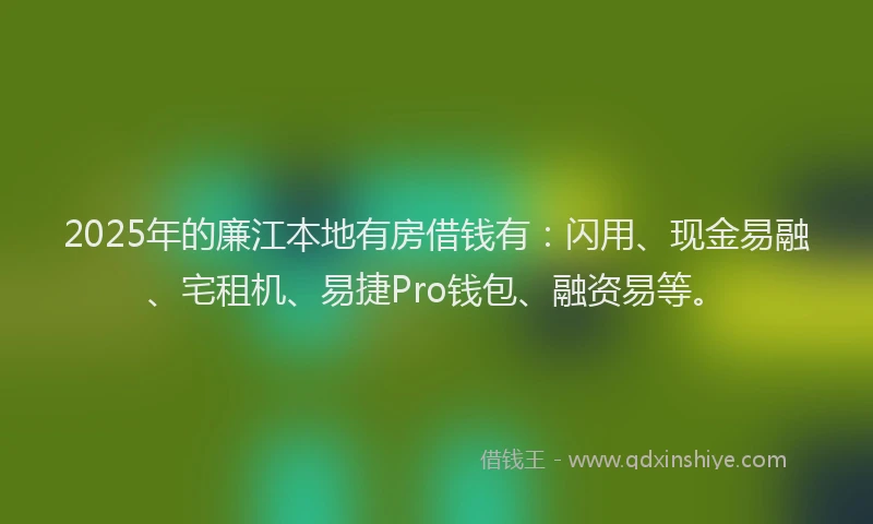 2025年的廉江本地有房借钱有：闪用、现金易融、宅租机、易捷Pro钱包、融资易等。