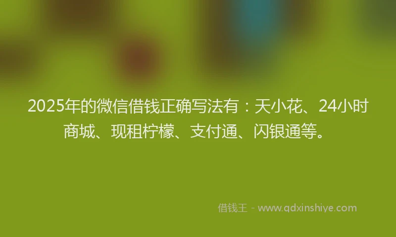 2025年的微信借钱正确写法有：天小花、24小时商城、现租柠檬、支付通、闪银通等。