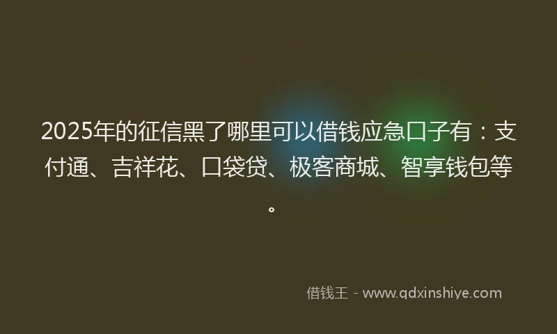 2025年的征信黑了哪里可以借钱应急口子有：支付通、吉祥花、口袋贷、极客商城、智享钱包等。