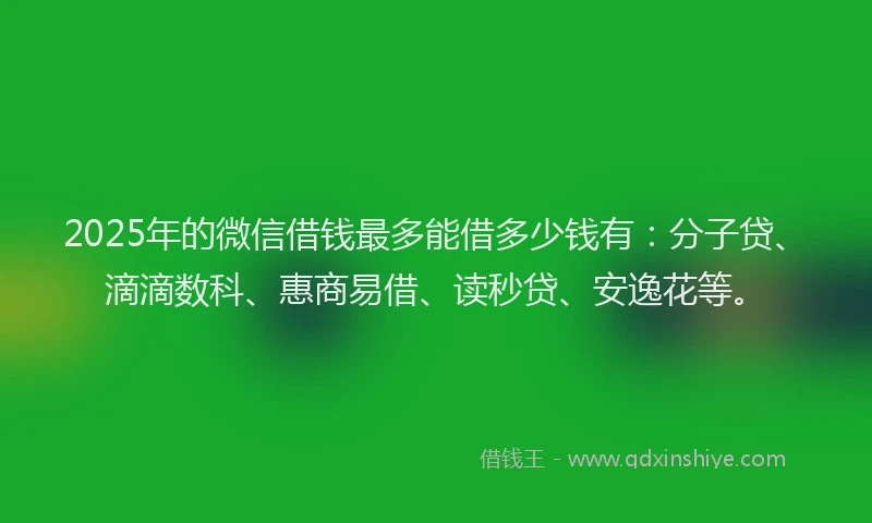 2025年的微信借钱最多能借多少钱有：分子贷、滴滴数科、惠商易借、读秒贷、安逸花等。