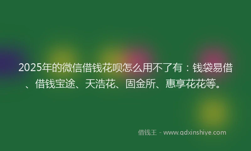 2025年的微信借钱花呗怎么用不了有：钱袋易借、借钱宝途、天浩花、固金所、惠享花花等。