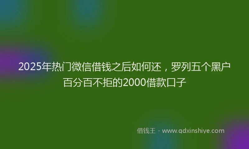 2025年热门微信借钱之后如何还,罗列五个黑户百分百不拒的2000借款口子