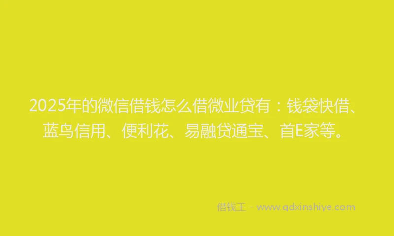 2025年的微信借钱怎么借微业贷有:钱袋快借、蓝鸟信用、便利花、易融贷通宝、首E家等。