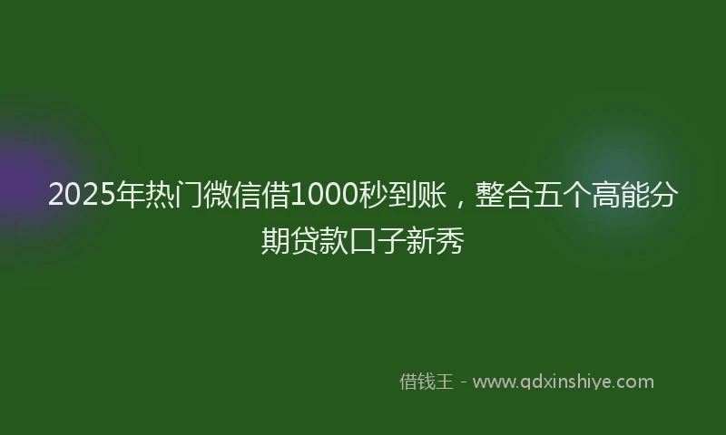 2025年热门微信借1000秒到账，整合五个高能分期贷款口子新秀