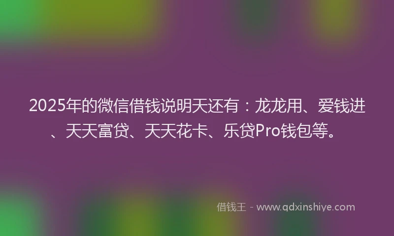 2025年的微信借钱说明天还有：龙龙用、爱钱进、天天富贷、天天花卡、乐贷Pro钱包等。