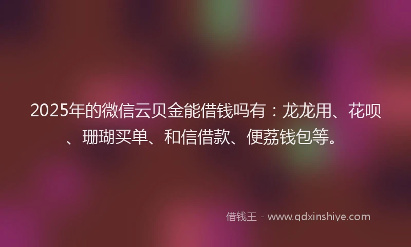 2025年的微信云贝金能借钱吗有：龙龙用、花呗、珊瑚买单、和信借款、便荔钱包等。