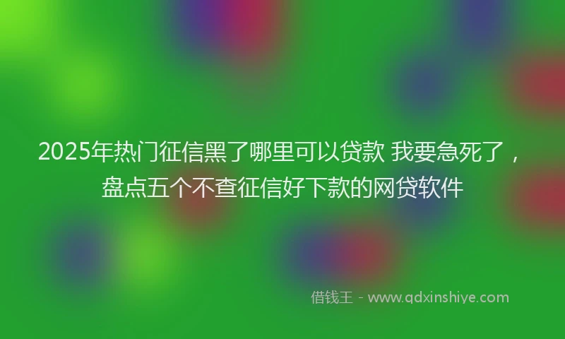 2025年热门征信黑了哪里可以贷款 我要急死了，盘点五个不查征信好下款的网贷软件