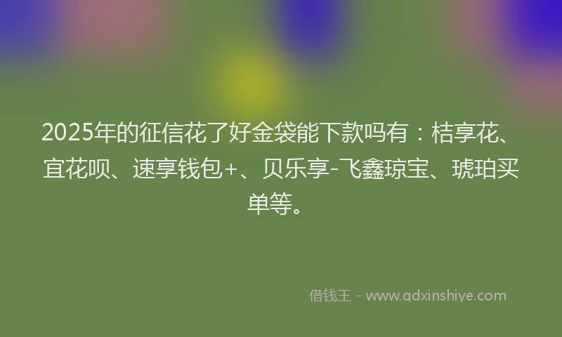 2025年的征信花了好金袋能下款吗有：桔享花、宜花呗、速享钱包+、贝乐享-飞鑫琼宝、琥珀买单等。